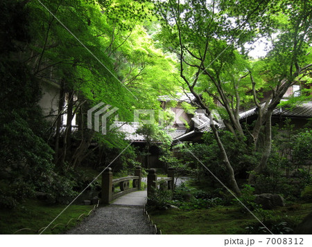 新緑の京都 新緑の京都 7008312