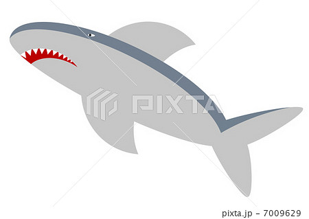 サメ 7009629