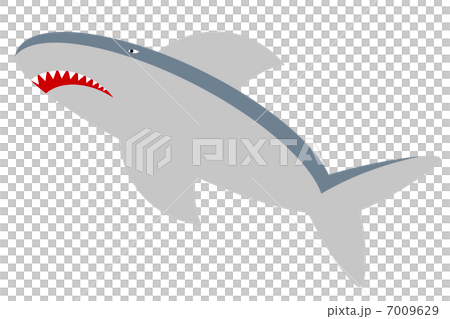 サメ 7009629