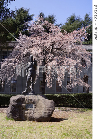 旧制松本高等学校 7010123