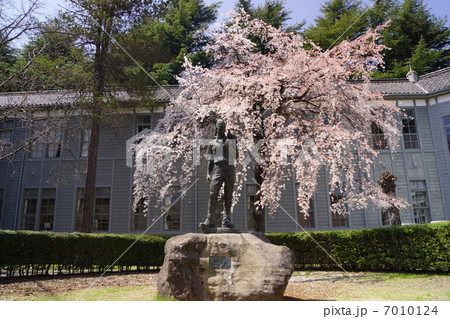 旧制松本高等学校 7010124