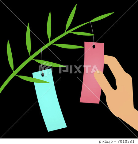 短冊 短冊 7010531