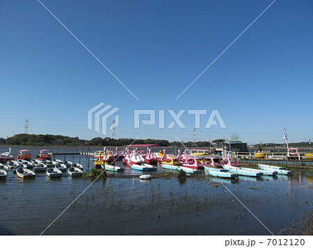 手賀沼　ボート乗り場 7012120