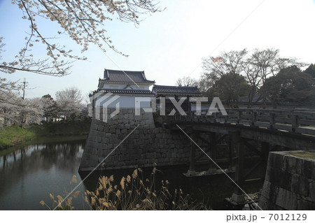 水口城跡 水口城跡 7012129