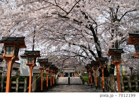 六孫王神社 六孫王神社 7012199