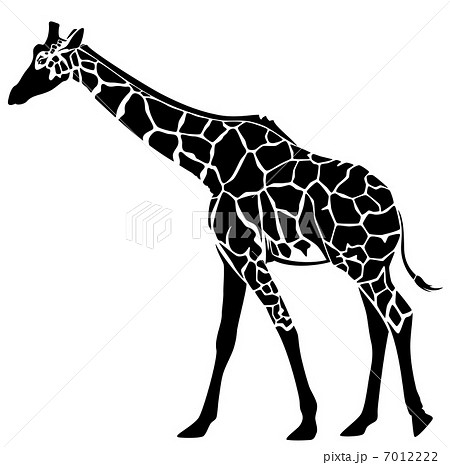 Cute Giraffe Vector Illustration Black And のイラスト素材
