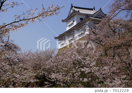 津山城 津山城 7012229