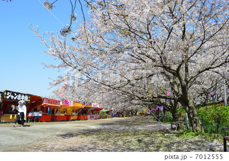 権現堂の昼の屋台 7012555
