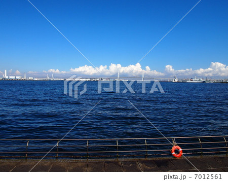 港の風景 7012561