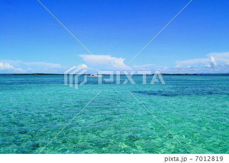 セブの海 7012819