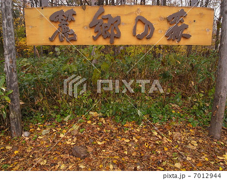 麓郷の森 入り口 麓郷の森 入り口 7012944