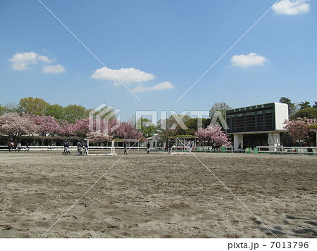馬事公苑 7013796