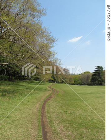 砧公園の細い道 7013799