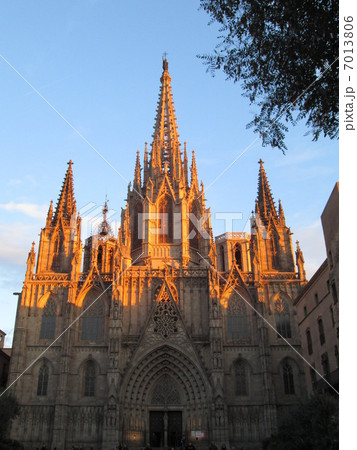 バルセロナ大聖堂 バルセロナ大聖堂 7013806