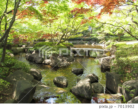 大田黒公園の池 7013902