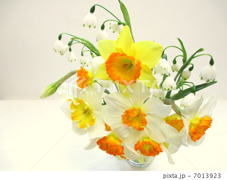 ❀春の花のフラワーアレンジメント❀ 7013923