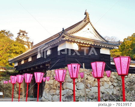 高知・高知城 7013957