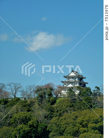 愛媛・宇和島城 7013976