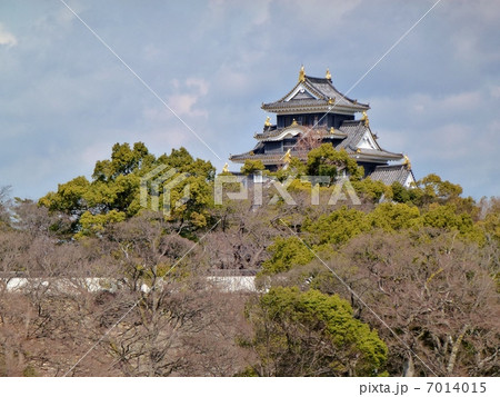 岡山・岡山城 7014015