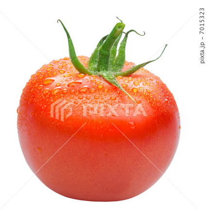 tomato isolated tomato isolated 7015323