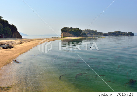 エンジェルロード エンジェルロード 7015729