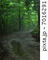 雨上がりの森 7016291