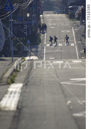 横断歩道を渡る小学生の登校風景 7016380