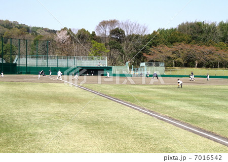 少年野球 7016542