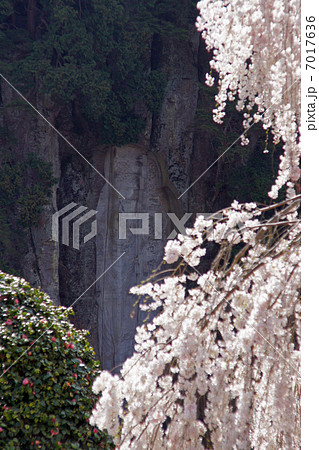 大野寺(磨崖仏) 大野寺(磨崖仏) 7017636