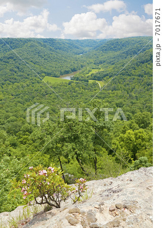 Kentucky Kentucky 7017671