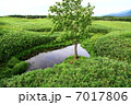 知床五湖 7017806