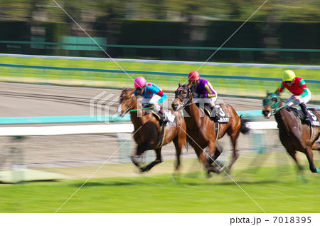 競馬 競馬 7018395