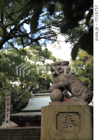 狛犬来宮神社 7018757