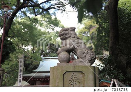 狛犬来宮神社 狛犬来宮神社 7018758