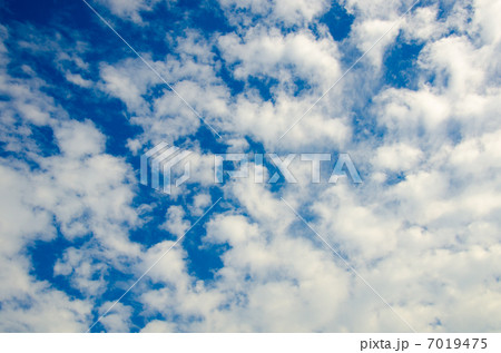 青空 7019475