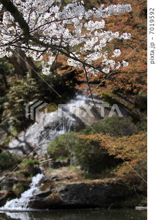 霞ヶ城公園 霞ヶ城公園 7019592