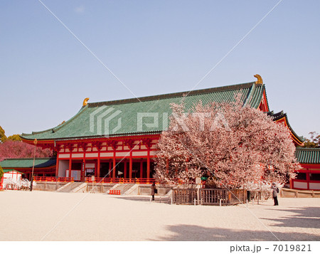 平安神宮の桜 7019821