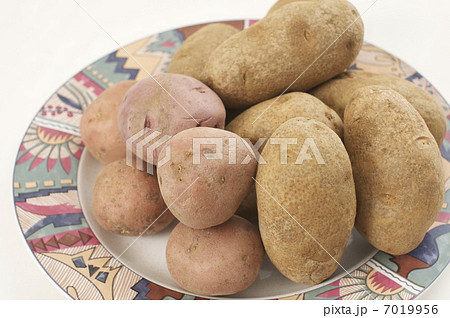 ポテト 7019956