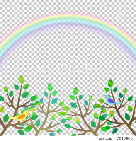 樹木和鳥類 7019960