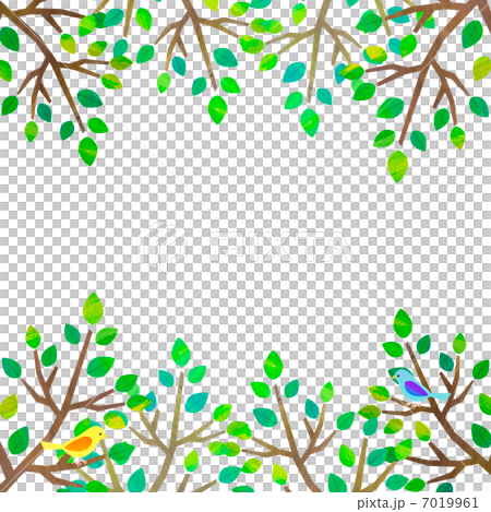 樹木和鳥類 7019961