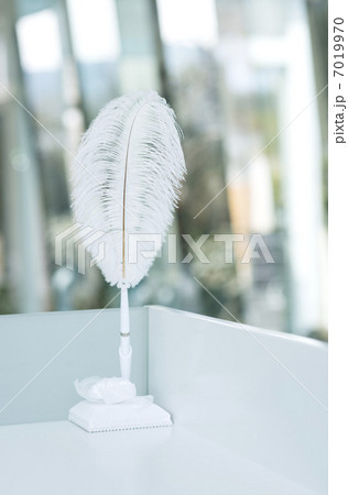 白い羽ペン 7019970