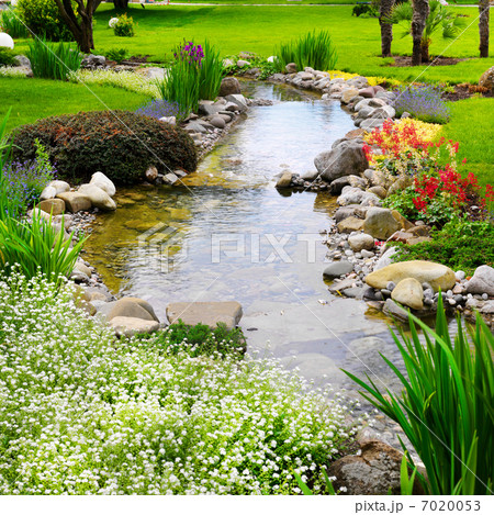 Spring flowers in the Asian japanese garden 7020053