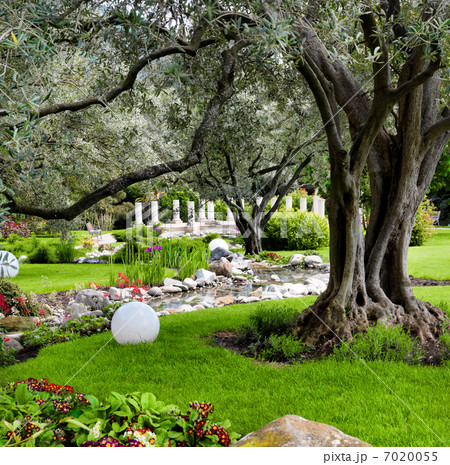 Spring flowers in the Asian japanese garden 7020055