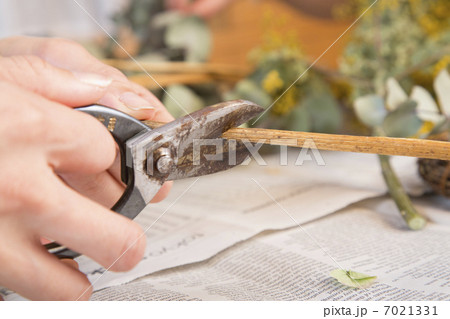 ミドルエイジ 7021331