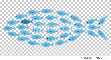 大魚に化ける魚たち 7022099