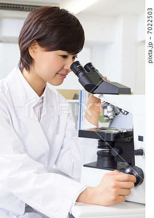 オフィス 7022503