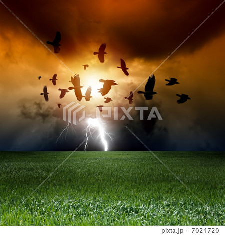 Dramatic landscape 7024720