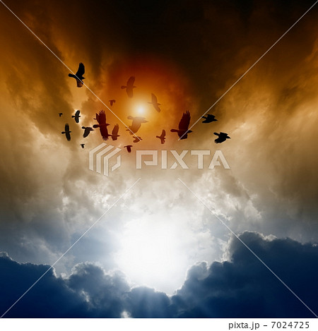 Ravens in dark sky Ravens in dark sky 7024725
