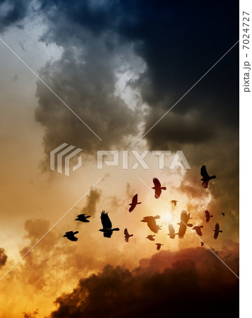 Ravens in dark sky Ravens in dark sky 7024727