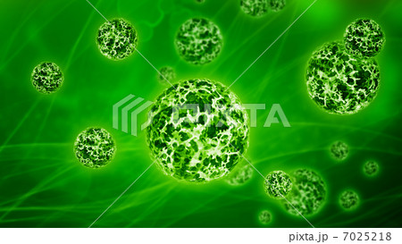 Virus cells, bacteria 7025218